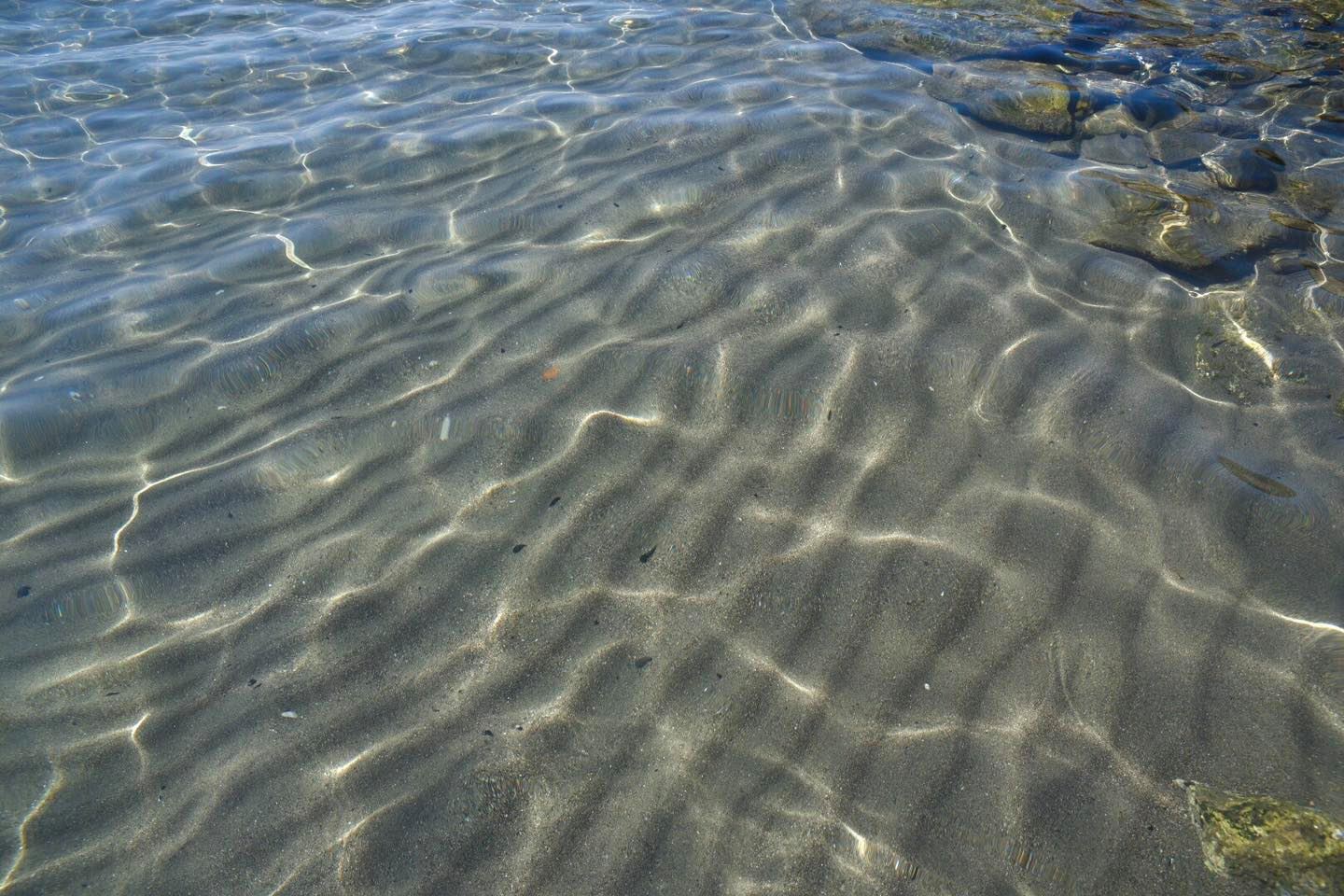 Il mare di Ostia  in salute